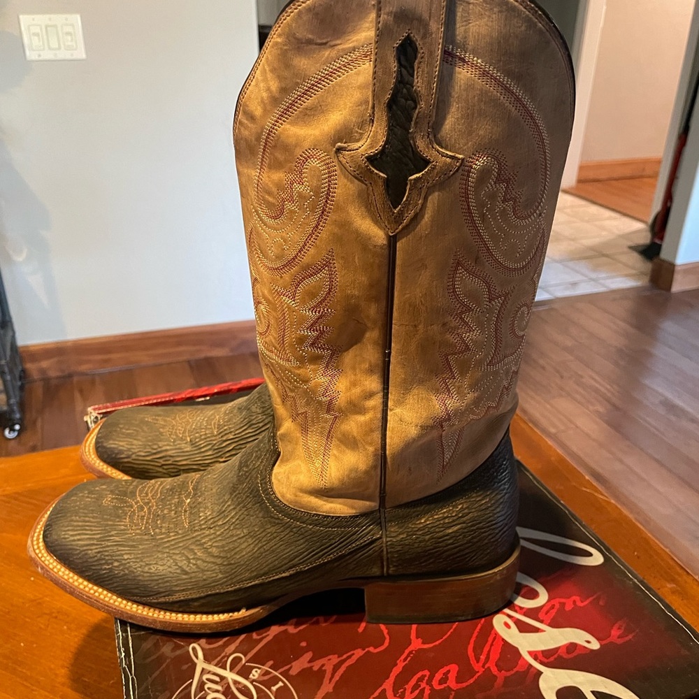 Lucchese chocolate shark